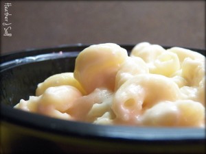 photo of creamy mac & cheese