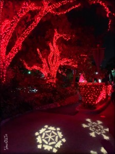 Red Christmas Lights